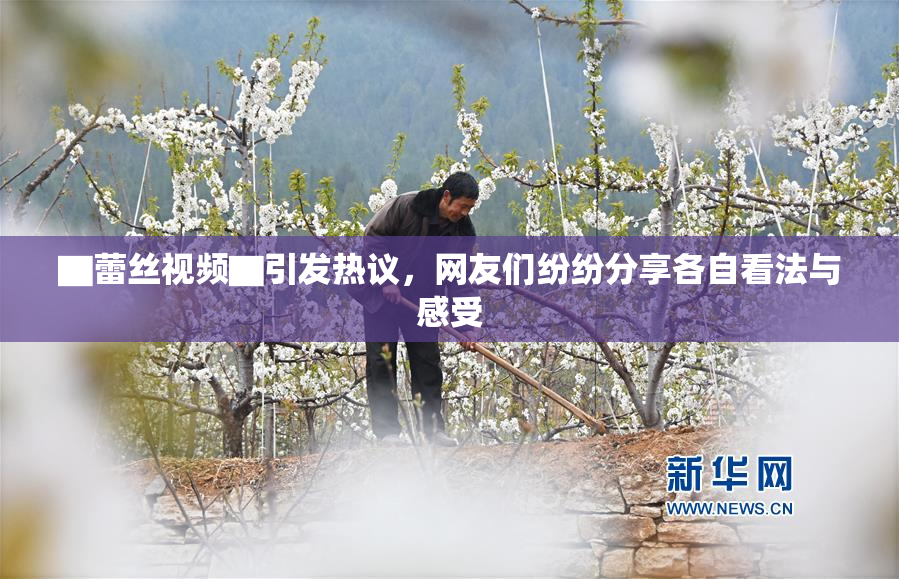 ▇蕾丝视频▇引发热议，网友们纷纷分享各自看法与感受