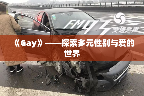 《Gay》——探索多元性别与爱的世界