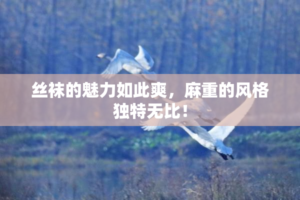 丝袜的魅力如此爽，麻重的风格独特无比！
