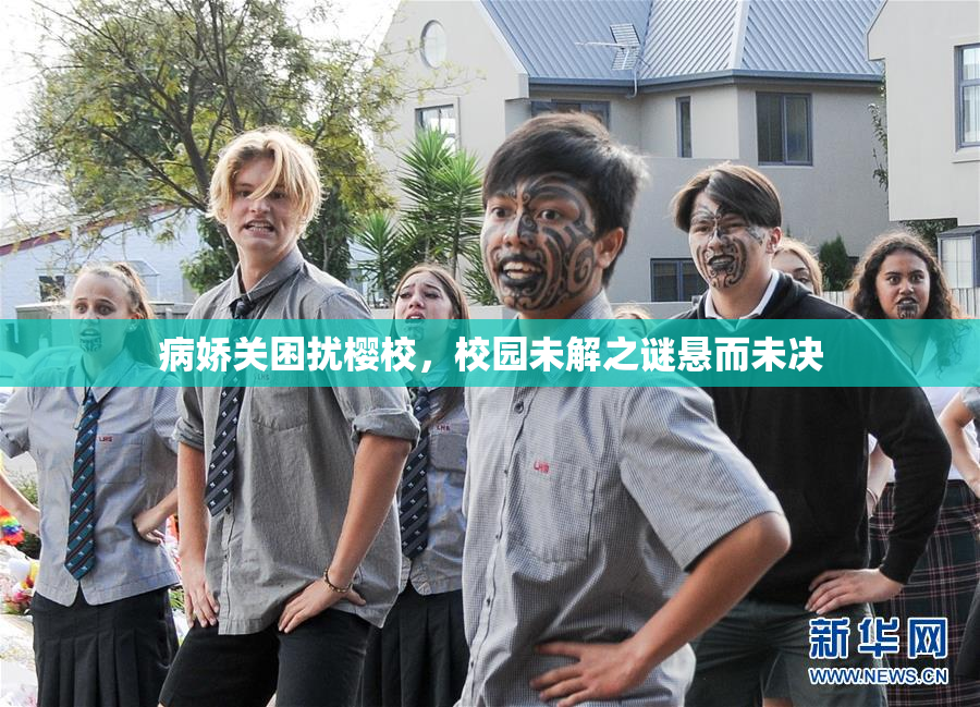病娇关困扰樱校，校园未解之谜悬而未决