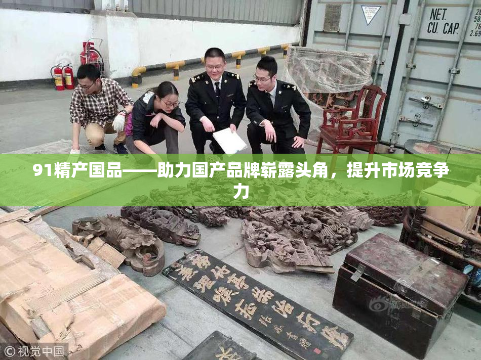 91精产国品——助力国产品牌崭露头角，提升市场竞争力