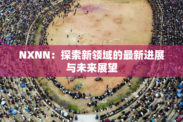 NXNN：探索新领域的最新进展与未来展望
