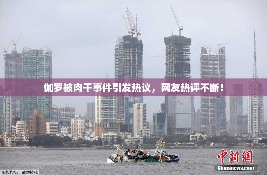 伽罗被肉干事件引发热议，网友热评不断！