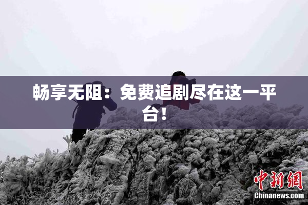 畅享无阻：免费追剧尽在这一平台！