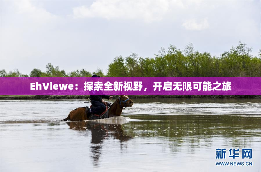 EhViewe：探索全新视野，开启无限可能之旅
