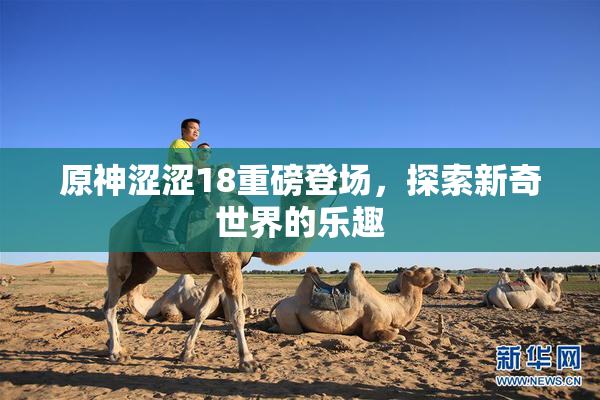 原神涩涩18重磅登场，探索新奇世界的乐趣