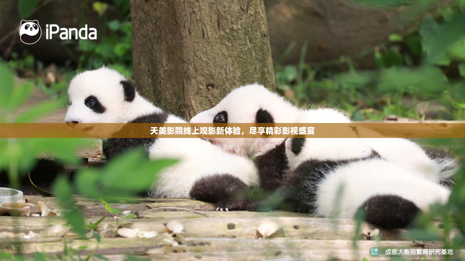 天美影院线上观影新体验，尽享精彩影视盛宴
