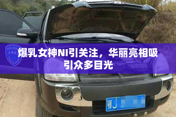 爆乳女神NI引关注，华丽亮相吸引众多目光
