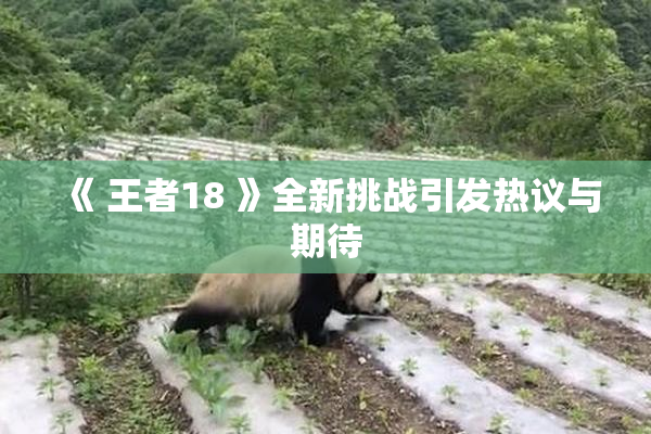 《 王者18 》全新挑战引发热议与期待