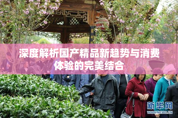 深度解析国产精品新趋势与消费体验的完美结合