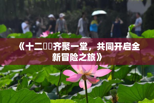 《十二妺妺齐聚一堂，共同开启全新冒险之旅》
