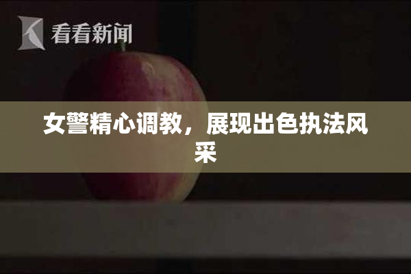 女警精心调教，展现出色执法风采