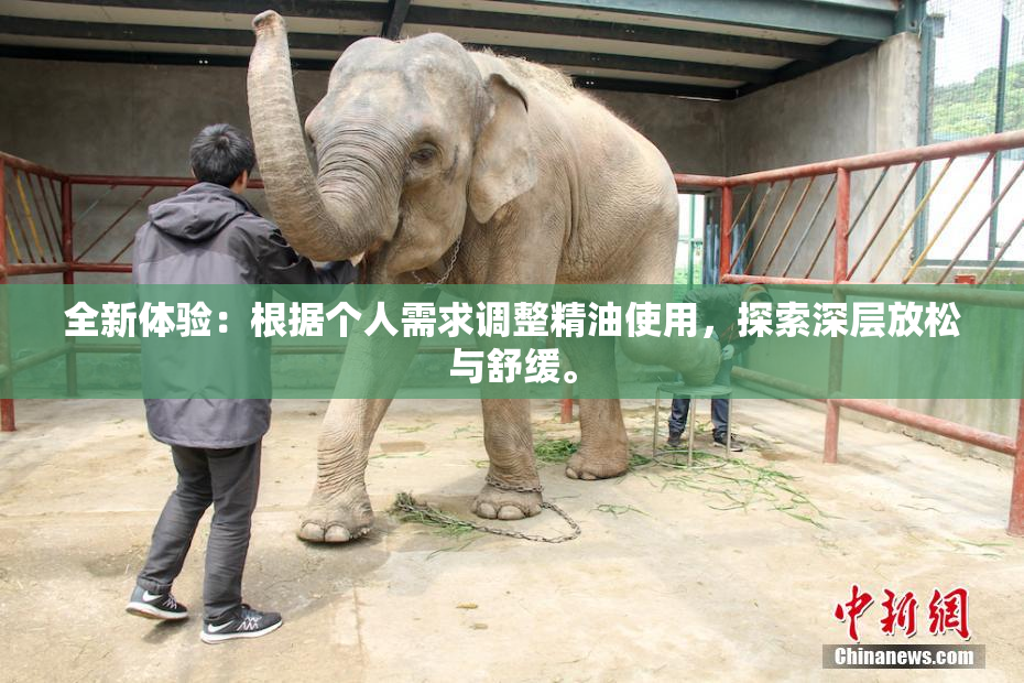 全新体验：根据个人需求调整精油使用，探索深层放松与舒缓。