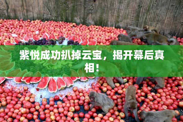 紫悦成功扒掉云宝，揭开幕后真相！