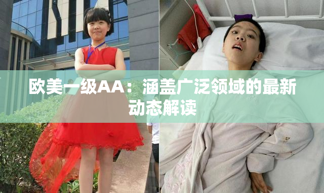 欧美一级AA：涵盖广泛领域的最新动态解读