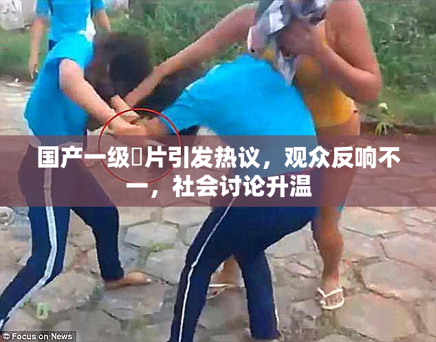 国产一级婬片引发热议，观众反响不一，社会讨论升温