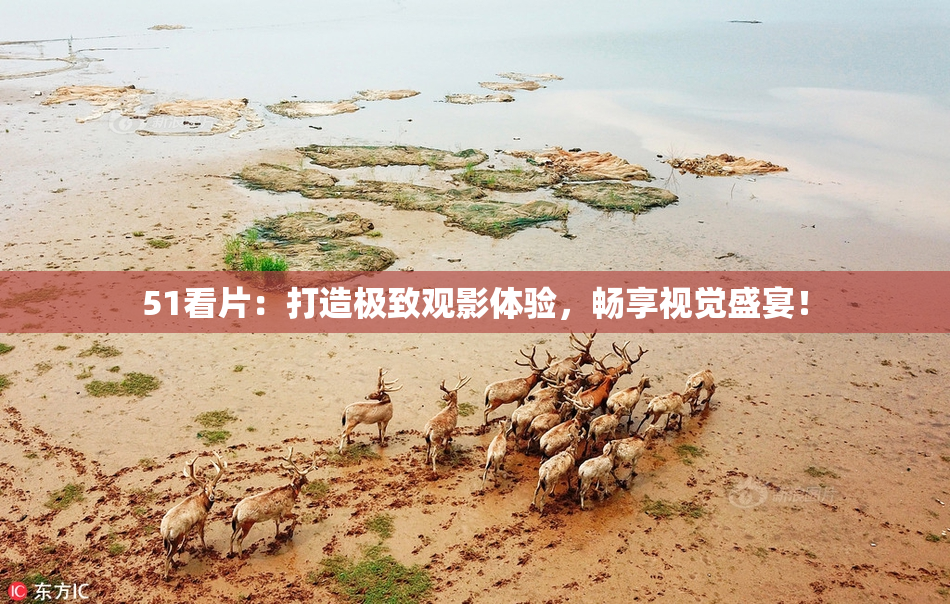 51看片：打造极致观影体验，畅享视觉盛宴！