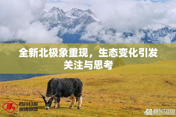 全新北极象重现，生态变化引发关注与思考