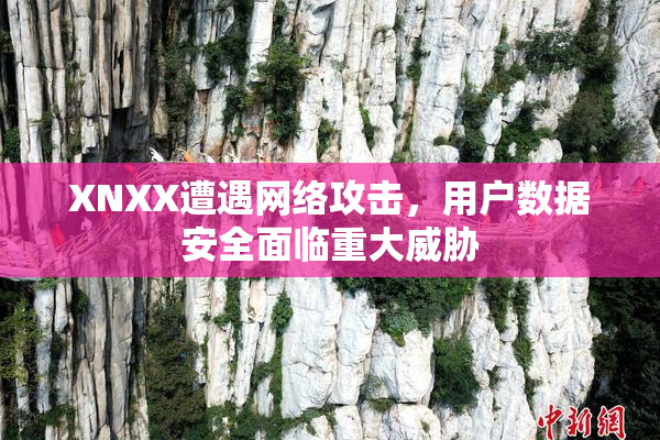 XNXX遭遇网络攻击，用户数据安全面临重大威胁