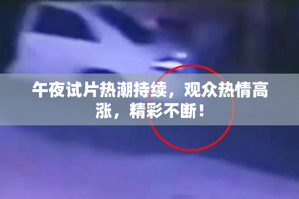 午夜试片热潮持续，观众热情高涨，精彩不断！