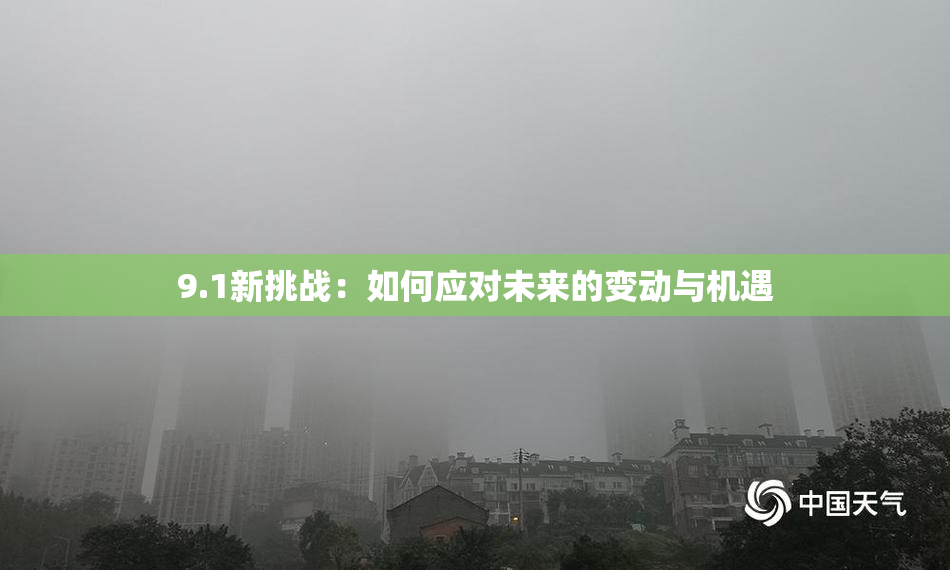 9.1新挑战：如何应对未来的变动与机遇