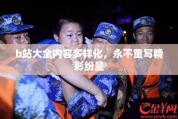 b站大全内容多样化，永不重写精彩纷呈