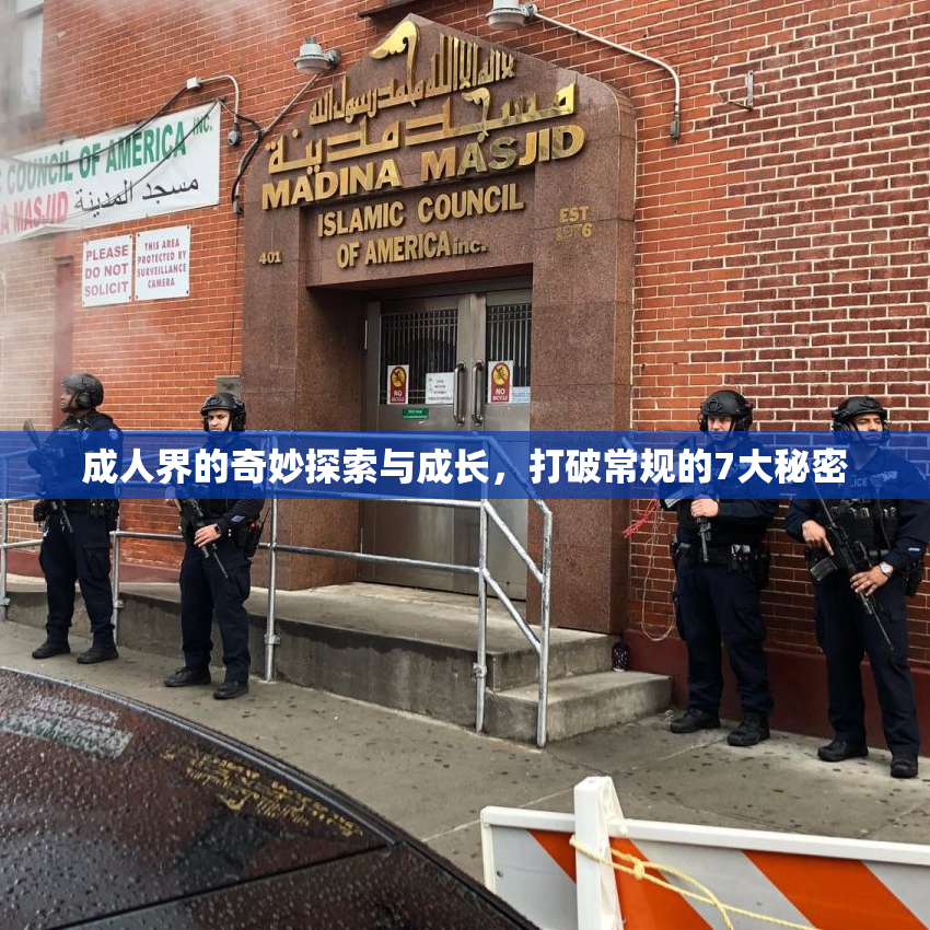 成人界的奇妙探索与成长，打破常规的7大秘密