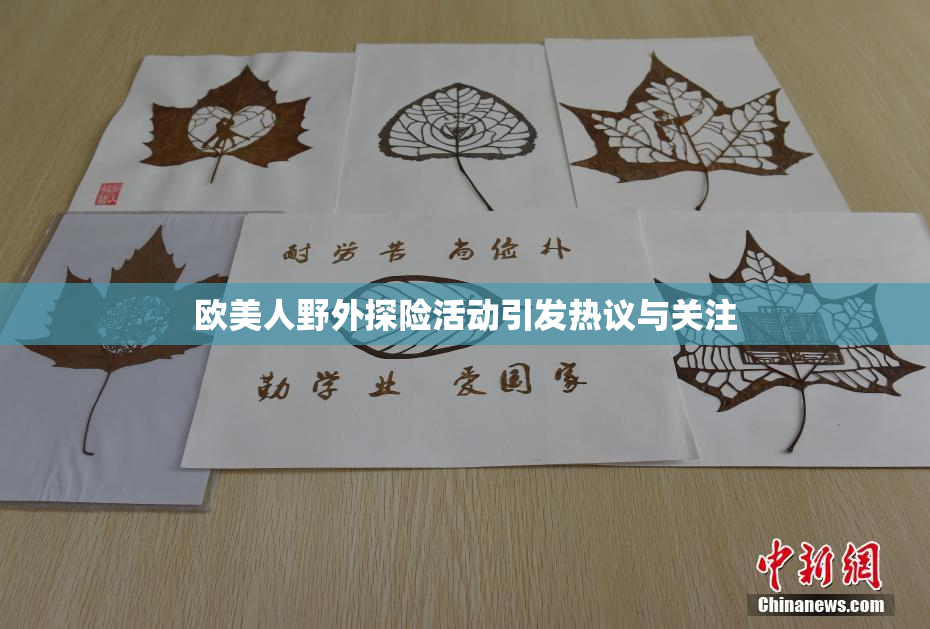 欧美人野外探险活动引发热议与关注