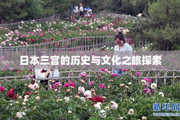 日本三宫的历史与文化之旅探索