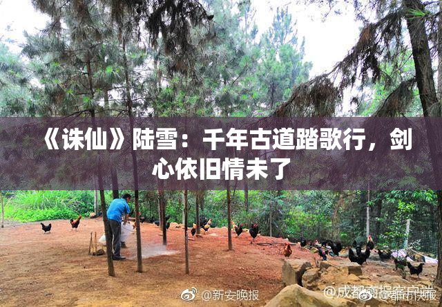 《诛仙》陆雪：千年古道踏歌行，剑心依旧情未了