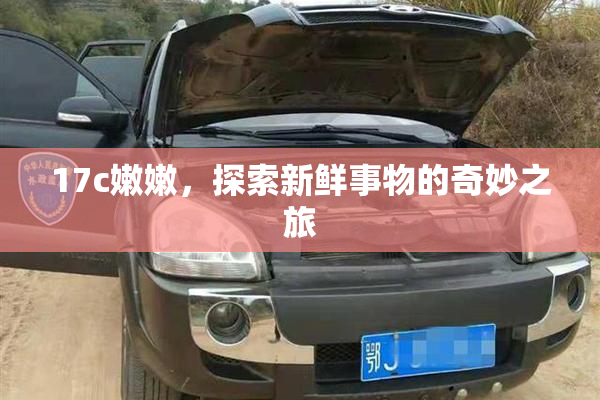 17c嫩嫩，探索新鲜事物的奇妙之旅