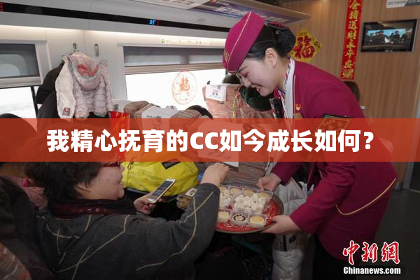 我精心抚育的CC如今成长如何？