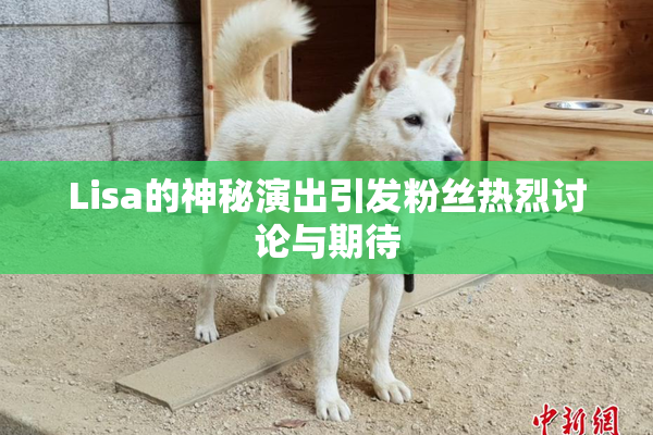 Lisa的神秘演出引发粉丝热烈讨论与期待