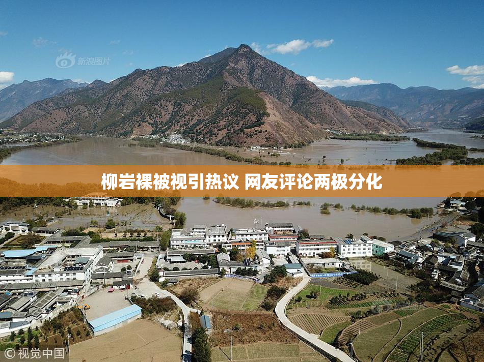 柳岩裸被视引热议 网友评论两极分化
