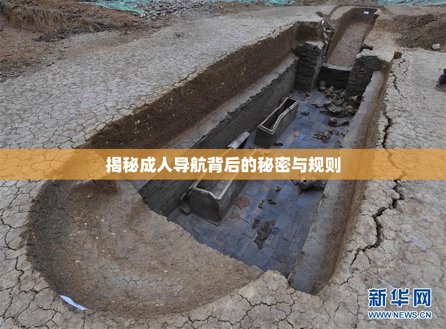 揭秘成人导航背后的秘密与规则