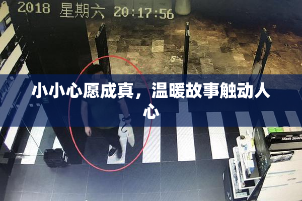 小小心愿成真，温暖故事触动人心