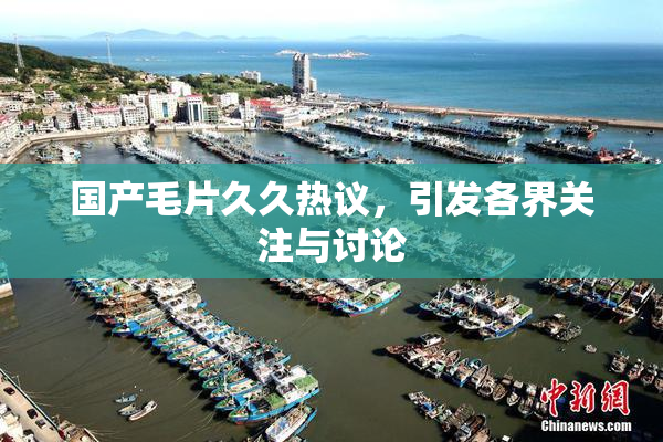 国产毛片久久热议，引发各界关注与讨论