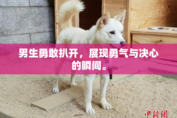 男生勇敢扒开，展现勇气与决心的瞬间。
