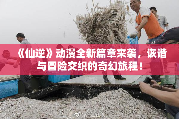 《仙逆》动漫全新篇章来袭，诙谐与冒险交织的奇幻旅程！