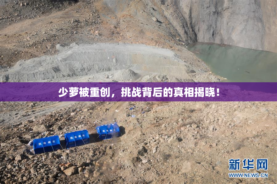 少萝被重创，挑战背后的真相揭晓！