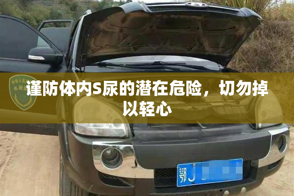 谨防体内S尿的潜在危险，切勿掉以轻心