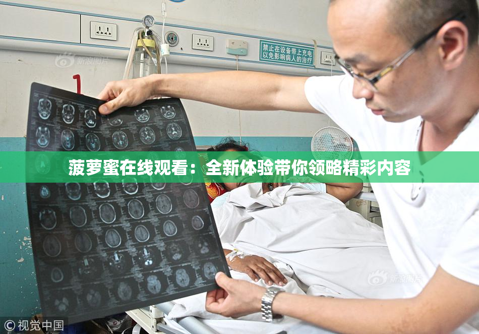 菠萝蜜在线观看：全新体验带你领略精彩内容