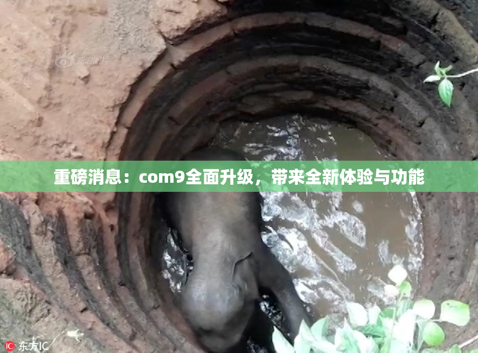 重磅消息：com9全面升级，带来全新体验与功能