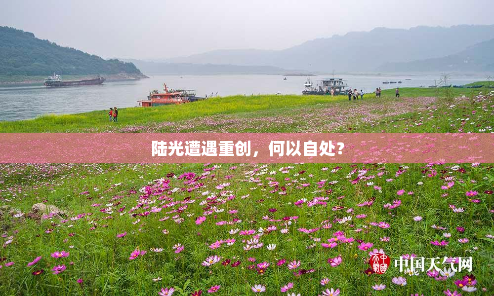 陆光遭遇重创，何以自处？
