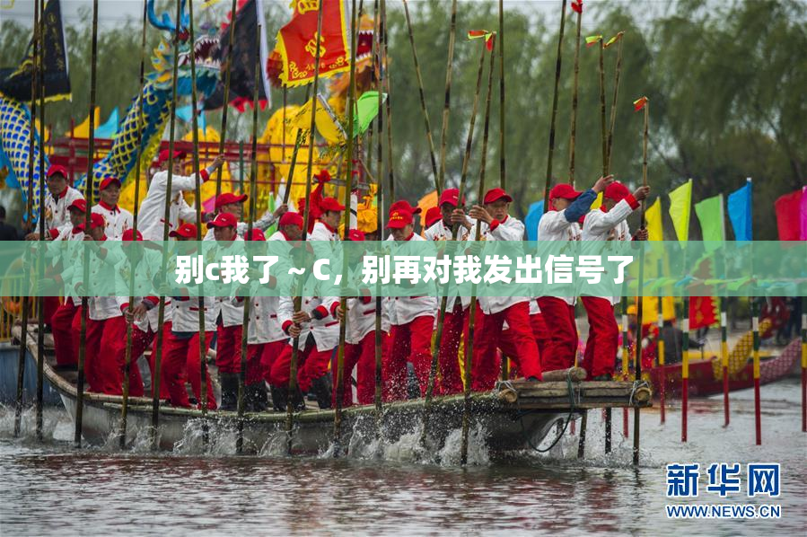 别c我了～C，别再对我发出信号了