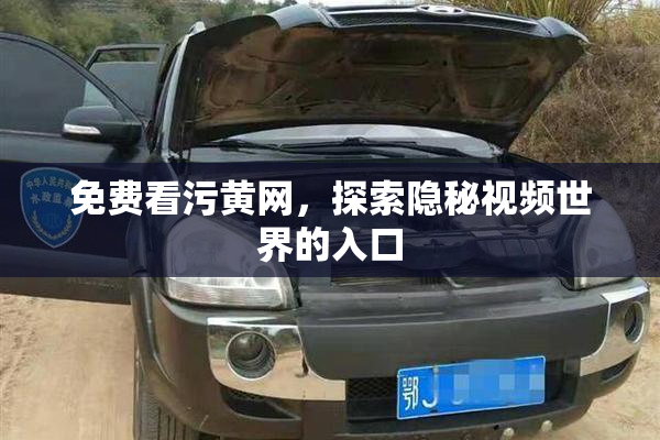 免费看污黄网，探索隐秘视频世界的入口