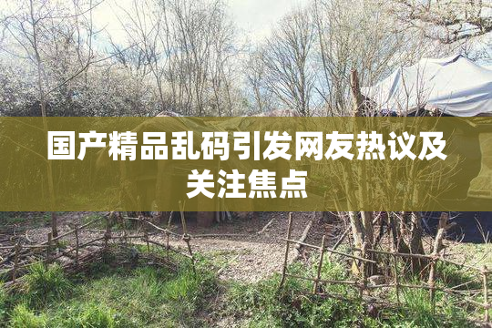 国产精品乱码引发网友热议及关注焦点