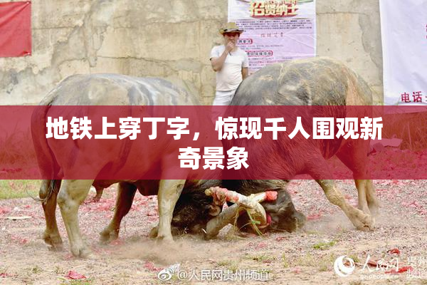 地铁上穿丁字，惊现千人围观新奇景象