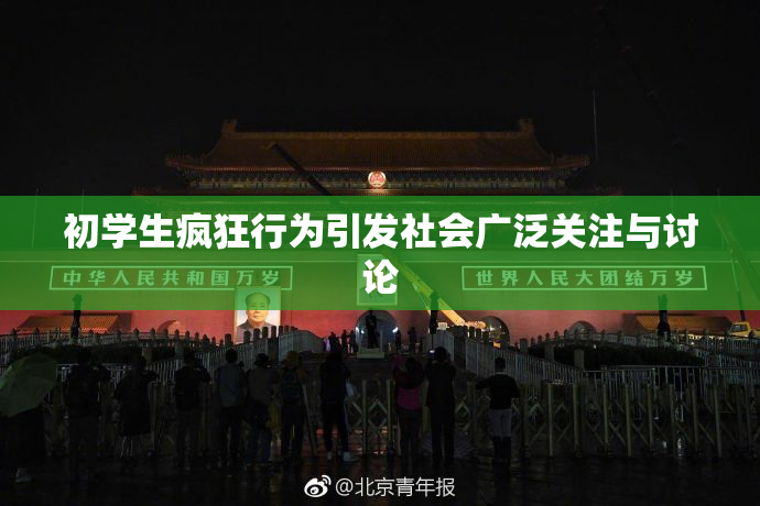 初学生疯狂行为引发社会广泛关注与讨论