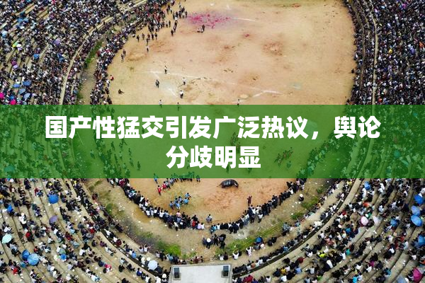 国产性猛交引发广泛热议，舆论分歧明显